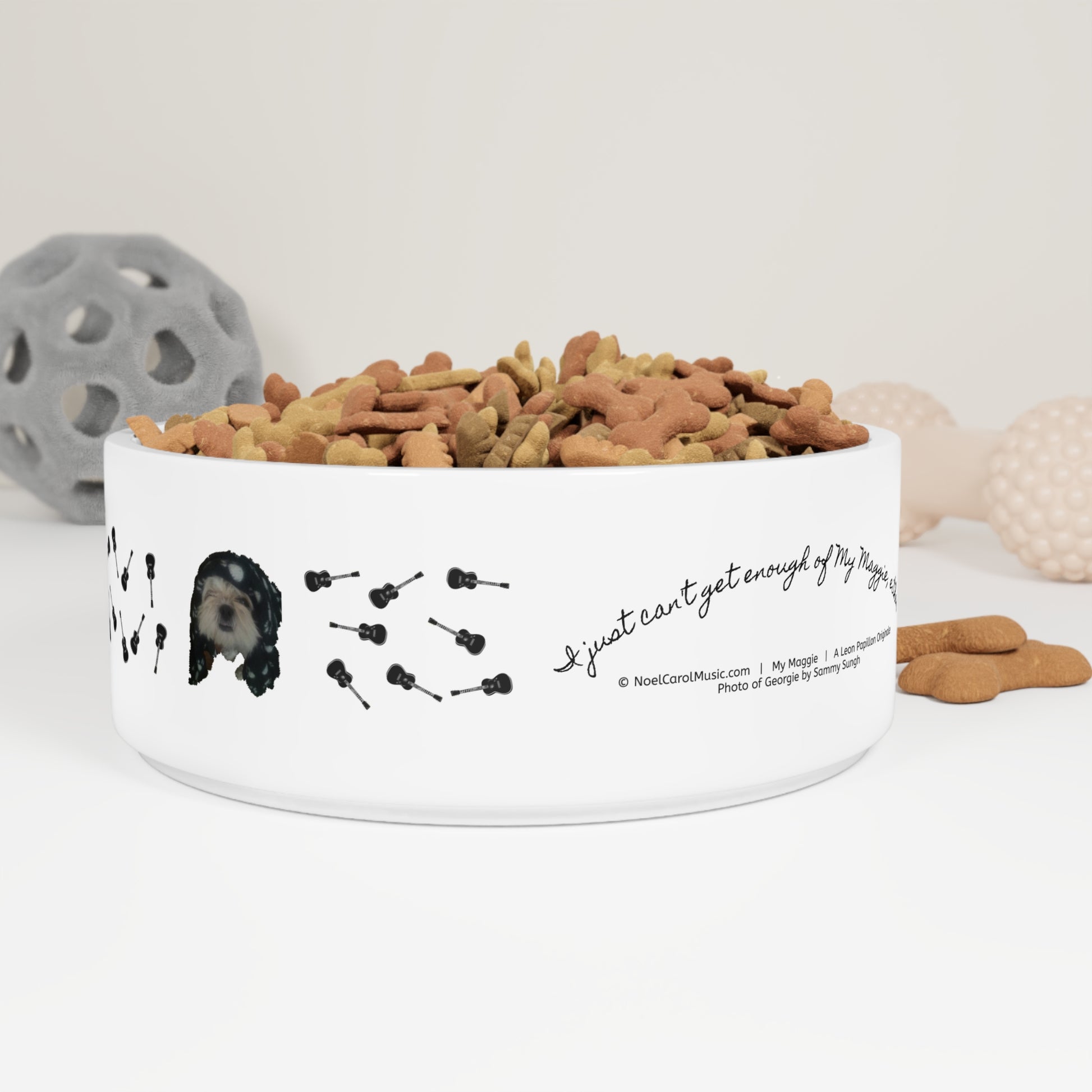 "I just can't get enough of My Maggie either" pet bowl. Dog amidst multiple guitars on outer surface — Noel Carol Music